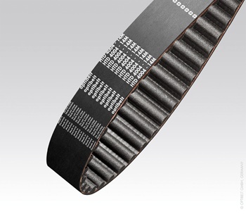 optibelt HTD D – kópia.jpg