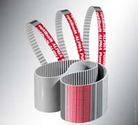 ALPHA POWER D Wickel.jpg