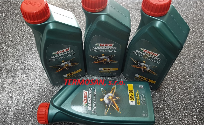 Castrol MAGNATEC  Professional A3 5W-30 (1 L)