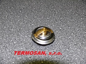 Termostat 70011316 WAHLER S40