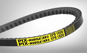 PIX-Muscle®-XR3 High Power4.jpg
